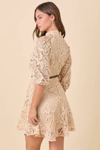 Mock Neck Collar Button Down Mini Lace Dress