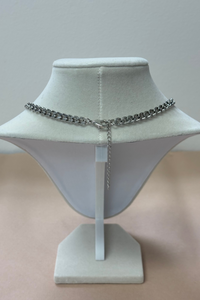 Silver Chain W/Gold Clasp & Two Charms Necklace