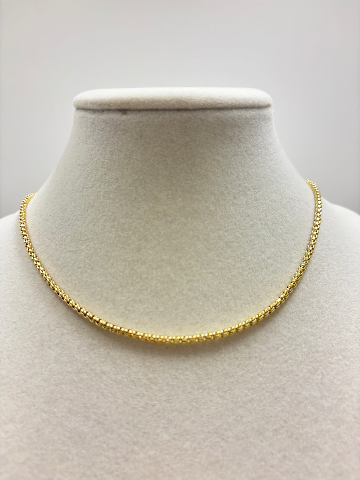 Silver or Gold Box Chain Necklace