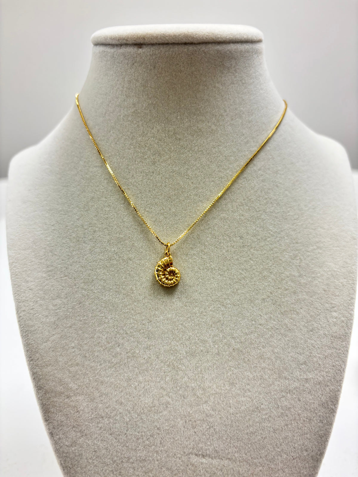 Adjustable Gold Chain W/Small Gold Seashell Necklace